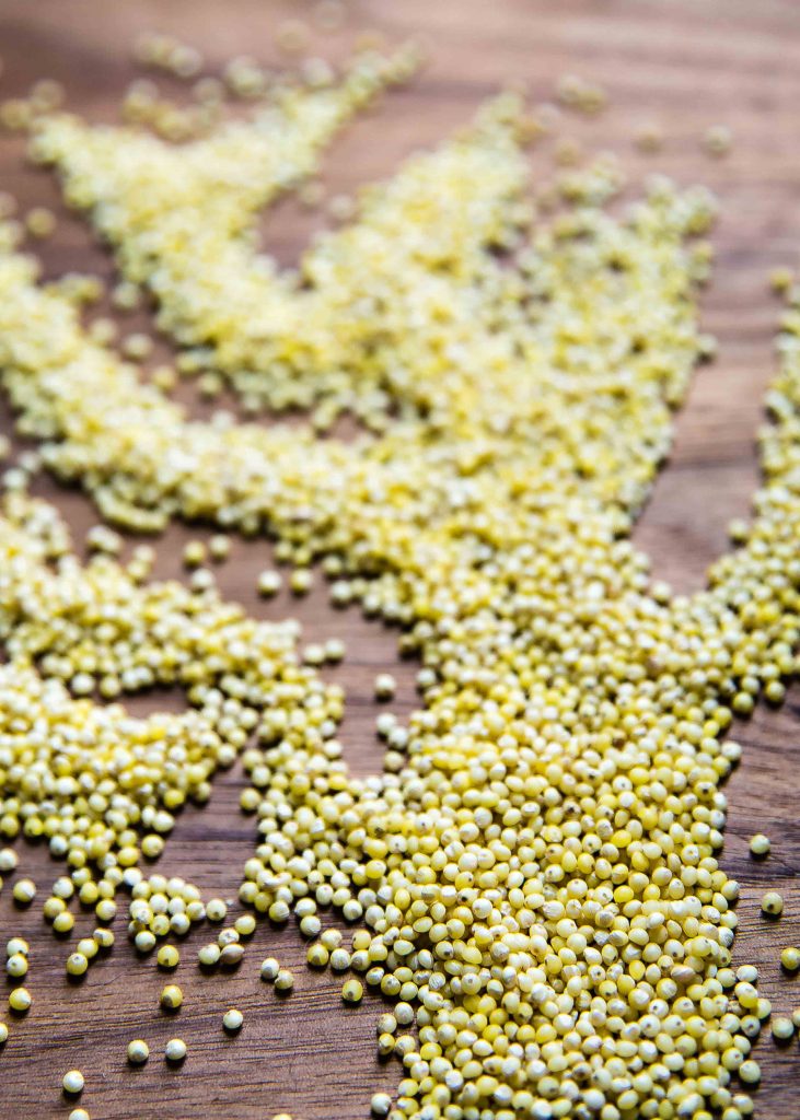 Eating more meatless meals? Add in whole grains! What is millet? Find cooking tips and how to cook millet with a week's worth of recipes.